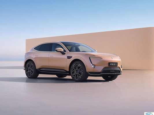 Automobile électrique pour la vente au détail