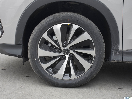 Tech Heating SUV électrique 175km/h Vitesse maximale 5 portes 5 places SUV avec 5 étoiles de sécurité