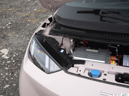 305Km de portée Compacte voiture électrique BYD 2024 Glory Version avec purement électrique Capacité