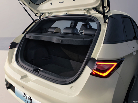 CGC BYD Dolphin 2024 5 portes 5 sièges Hatchback ev voitures électriques SUV berline et durable